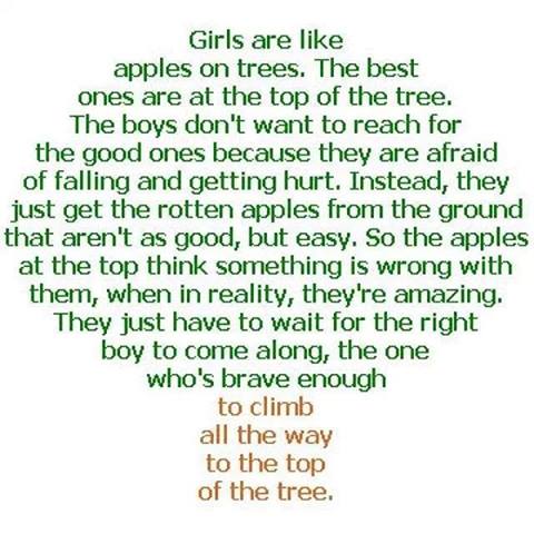 1456632_1433147490239049_1942529049_n