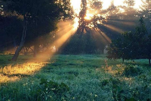 10351233_297163430444202_2185213813361026831_n