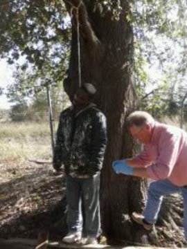 155636_166018226769478_437943_n