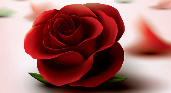 36965045-red-roses-images