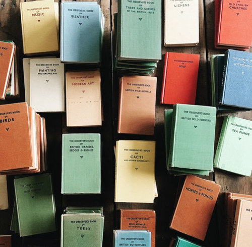 Image result for pocket books