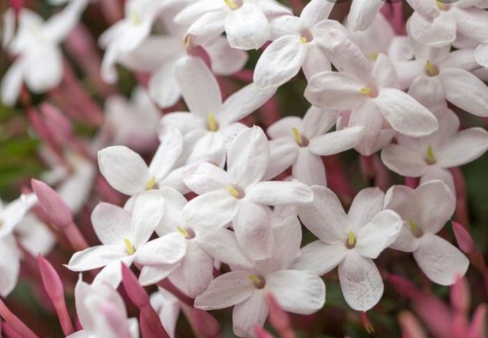 849C5040-3BE1-48DC-BA19-66975A6254DF