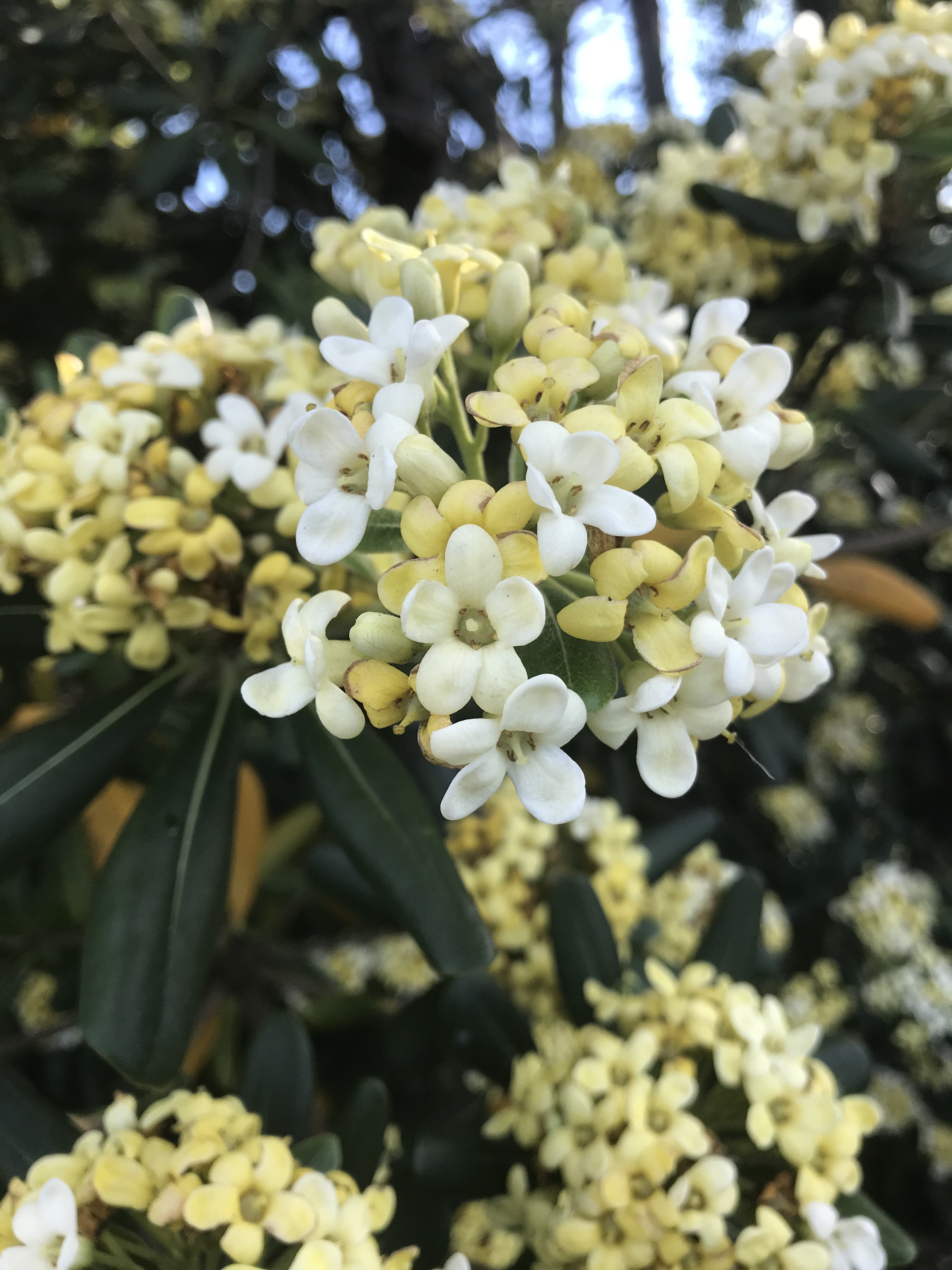 ED42ACC3-17E1-4A25-9A6A-C09194F64CD5